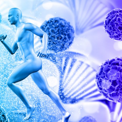 Read more about the article Az örömet adó hormonok felszabadítása